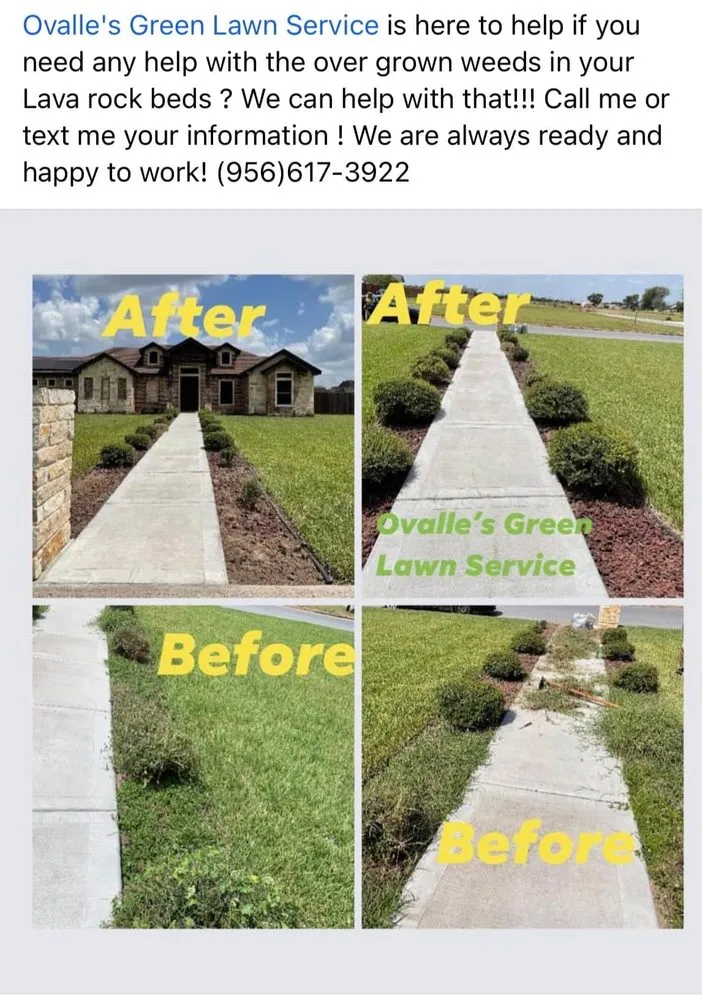 Expert yard cleanup service near you in Port Isabel, TX by Ovalle's Green Lawn Service