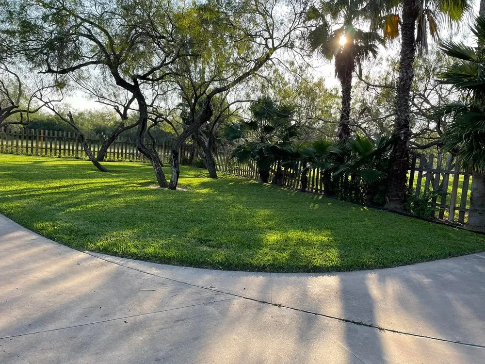 Top-rated yard maintenance in Port Isabel, TX by Ovalle's Green Lawn Service