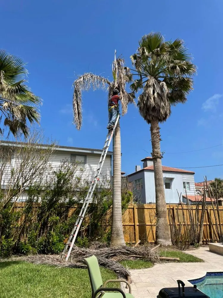 Custom residential landscaping experts serving Port Isabel, TX - Ovalle's Green Lawn Service