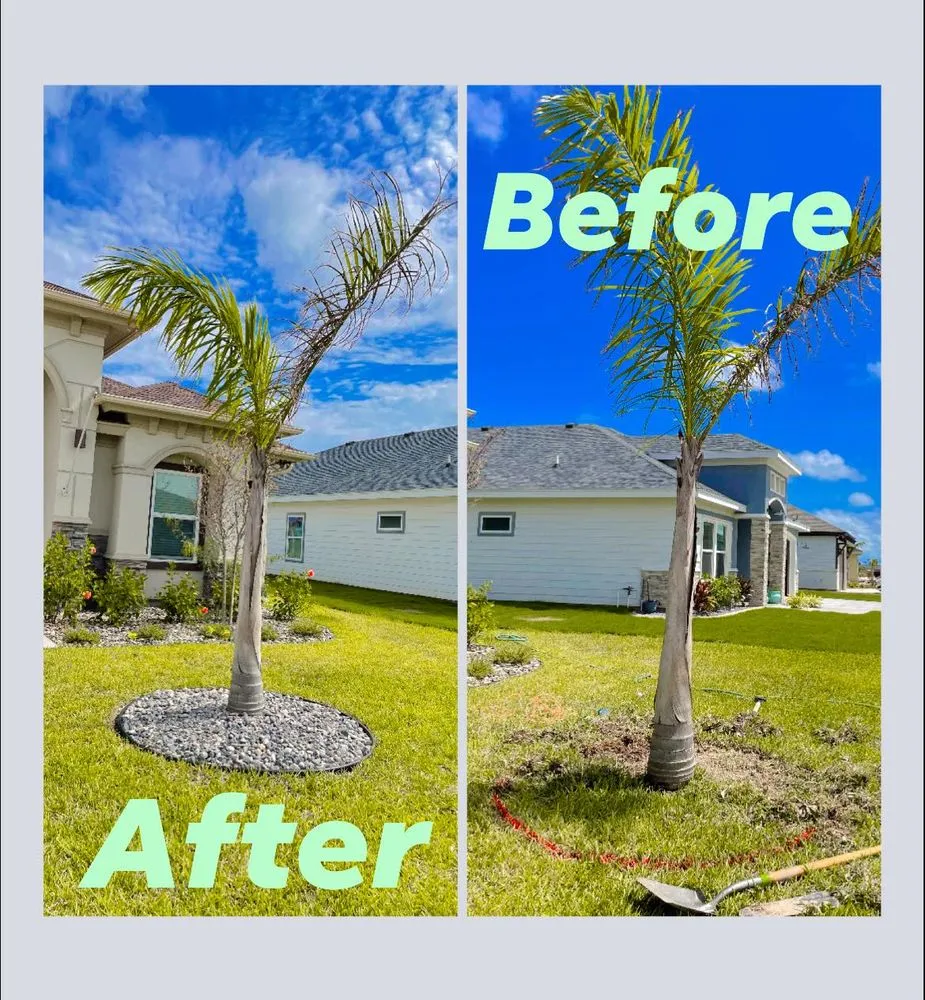 Local lawn mowing service for year-round maintenance across Port Isabel, TX - Ovalle's Green Lawn Service