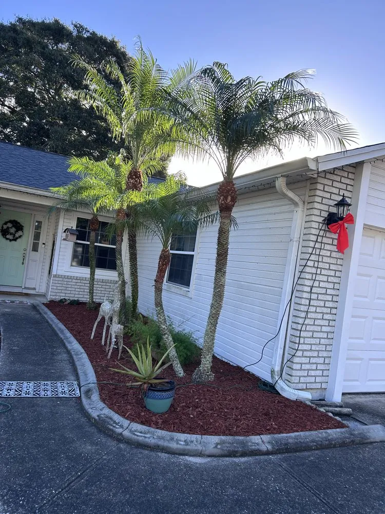 Custom landscaping services in Cocoa, FL by Ovalle’s Lawn Service