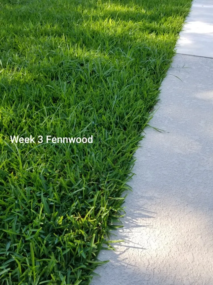 Reliable yard cleanup service with custom design across Prairieville, LA - Ovation Agri