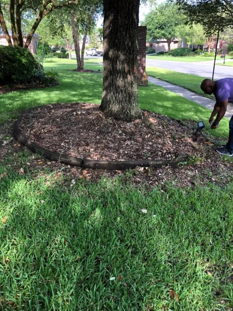 Expert residential landscaping in Prairieville, LA - Ovation Agri