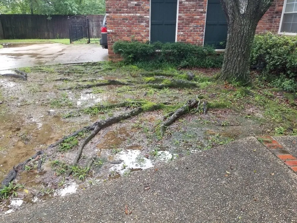 Custom outdoor landscaping in Prairieville, LA by Ovation Agri