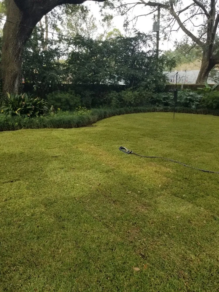 Custom landscaping services in Prairieville, LA - Ovation Agri