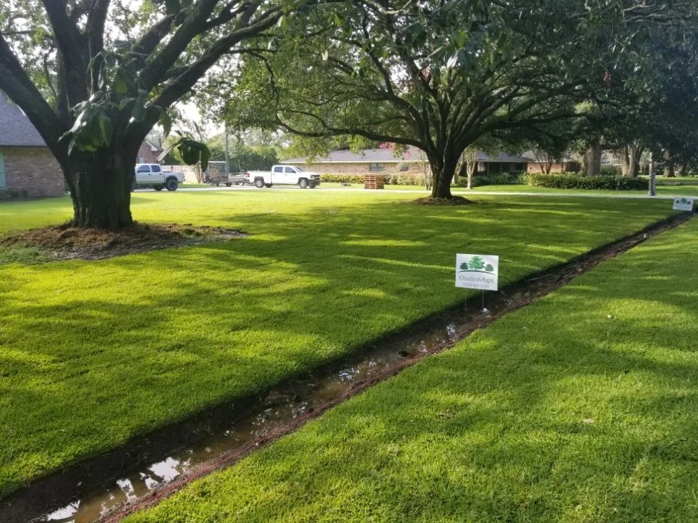 Local landscape design experts serving Prairieville, LA - Ovation Agri