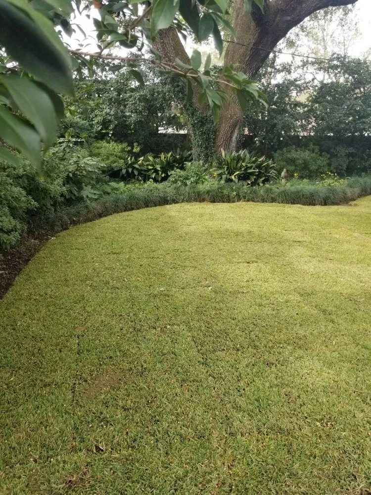 Local lawn care service for residential properties in Prairieville, LA by Ovation Agri