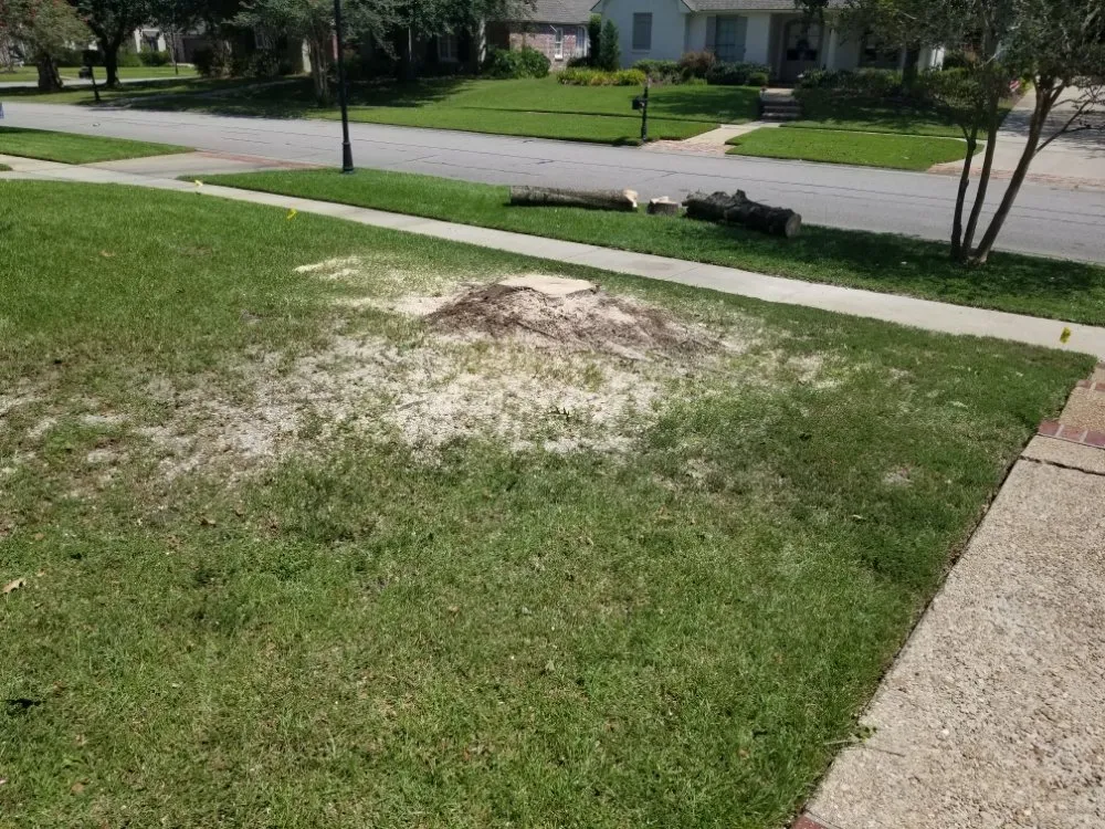 Top-rated lawn care service for outdoor upgrades in Prairieville, LA by Ovation Agri