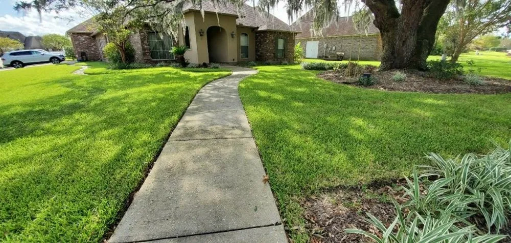 Expert yard maintenance for beautiful yards across Prairieville, LA - Ovation Agri
