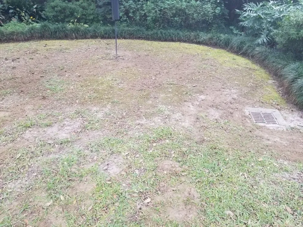 Professional landscaping services for outdoor upgrades in Prairieville, LA by Ovation Agri