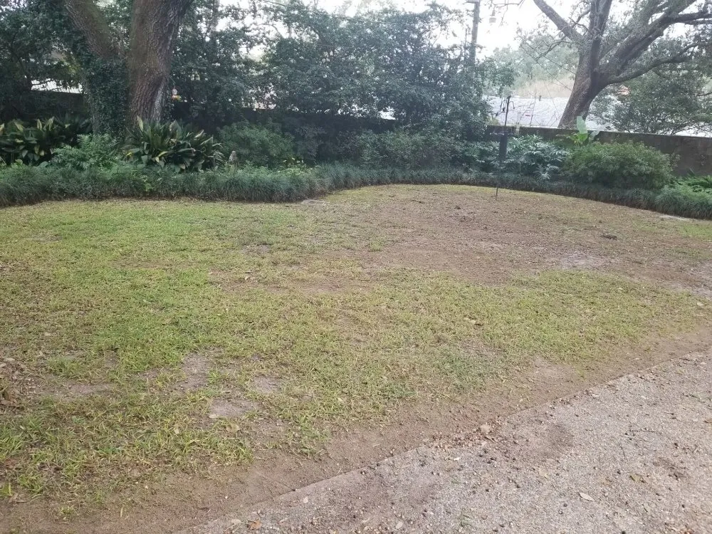 Professional landscape installation for beautiful yards across Prairieville, LA - Ovation Agri