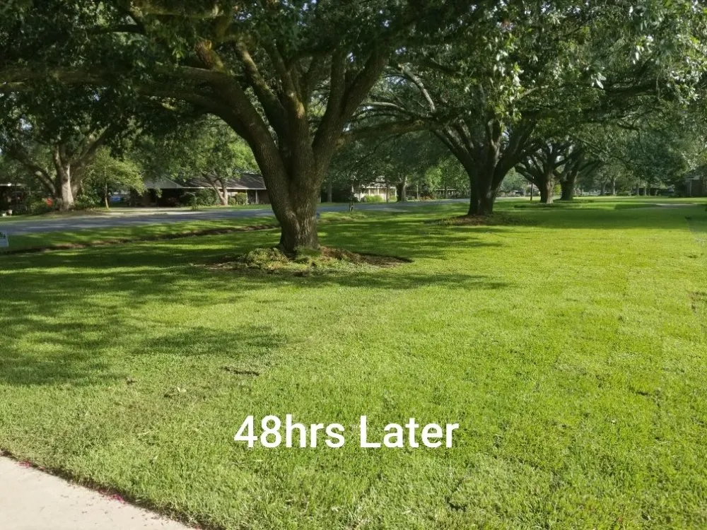 Professional garden landscaping in Prairieville, LA - Ovation Agri