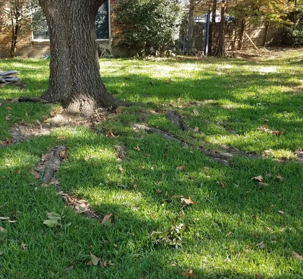 Affordable residential landscaping experts serving Prairieville, LA - Ovation Agri