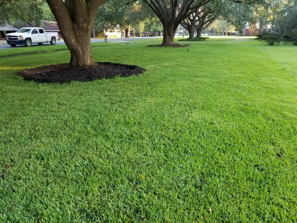 Professional garden landscaping experts serving Prairieville, LA - Ovation Agri