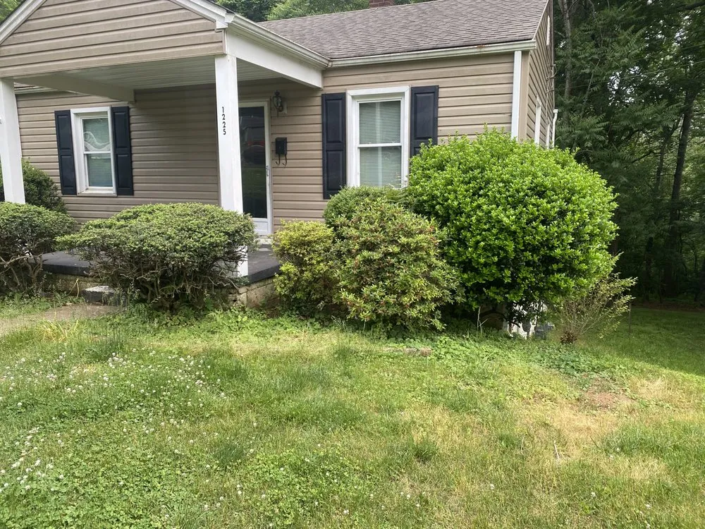 Expert yard maintenance in Lynchburg, VA by Over Edge Lawn Solutions