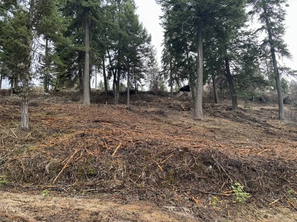 Affordable residential landscaping in Orofino, ID - Over Ground