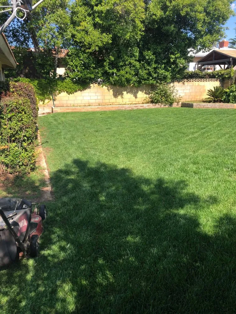 Top-rated lawn mowing service for homes in Yucaipa, CA by Over The Cliff Landscape