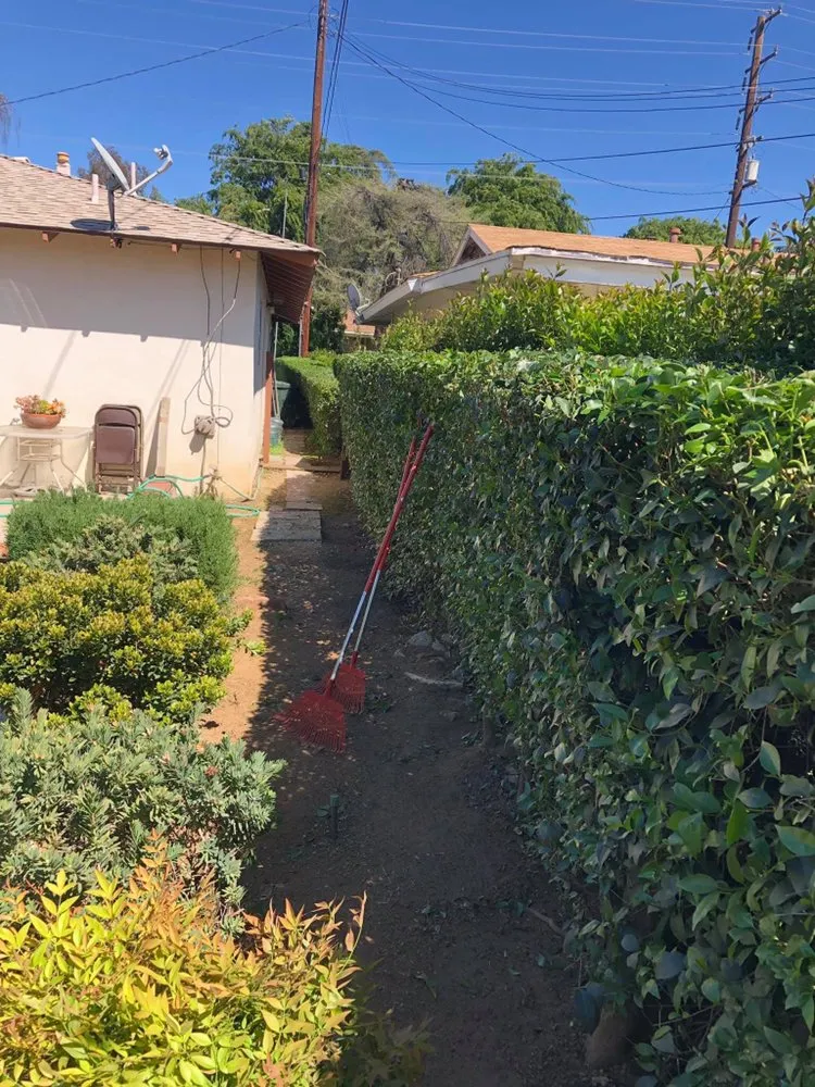Professional yard cleanup service in Yucaipa, CA by Over The Cliff Landscape