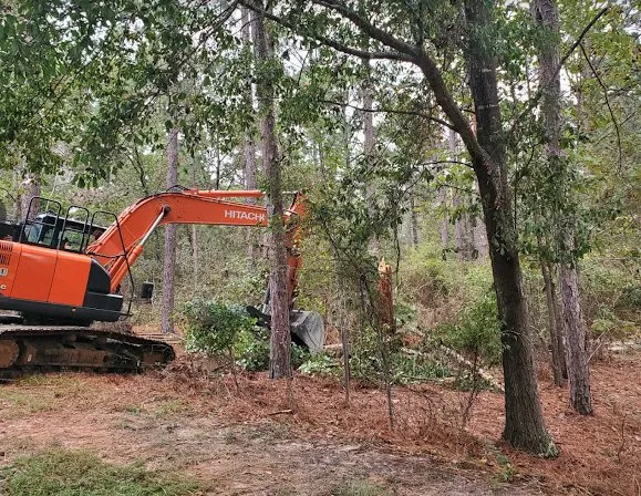 Professional lawn care service near you in Rock Hill, SC by Over The Edge Designs