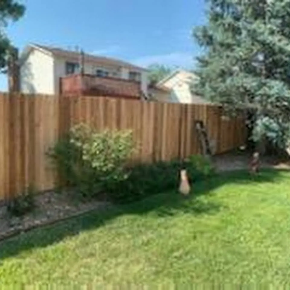 Trusted landscaping services experts serving Denver, CO - Over The Fence Landscaping and Construction