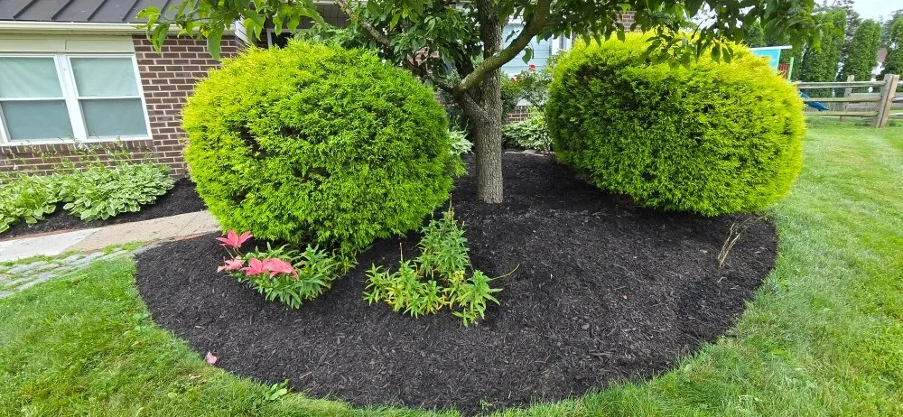 Custom residential landscaping experts serving Hatboro, PA - Over the Hedge