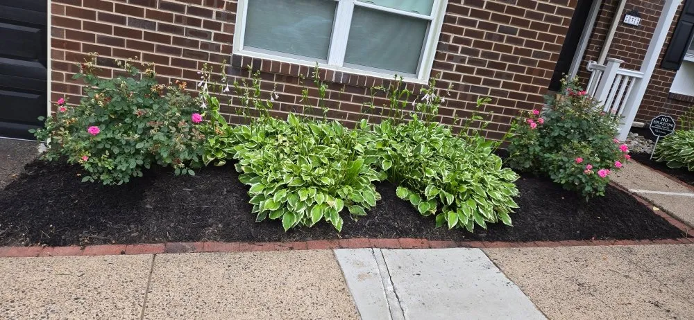 Trusted outdoor landscaping in Hatboro, PA - Over the Hedge