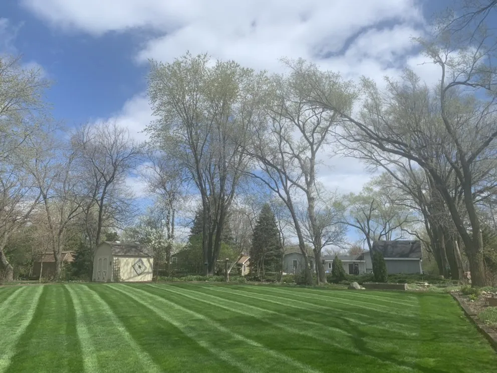 Top-rated lawn mowing service in Lombard, IL by Over The Hedge Landscaping