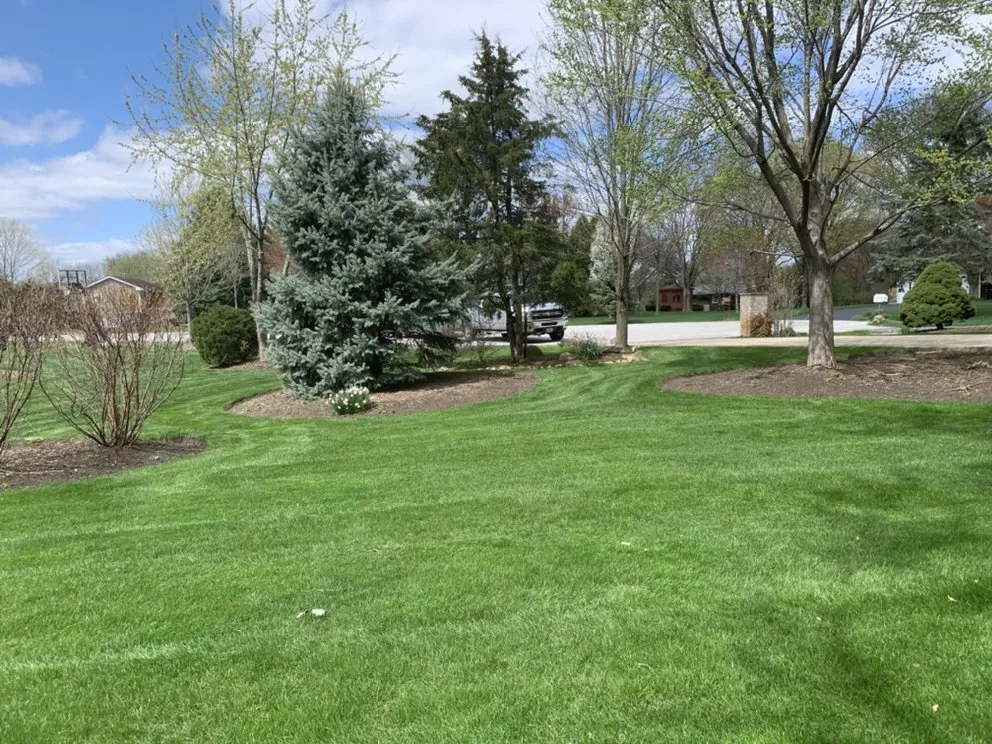 Expert residential landscaping in Lombard, IL by Over The Hedge Landscaping