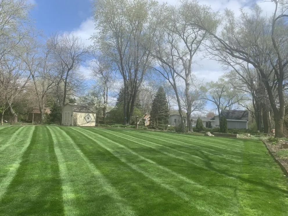 Custom landscaping services in Lombard, IL - Over The Hedge Landscaping