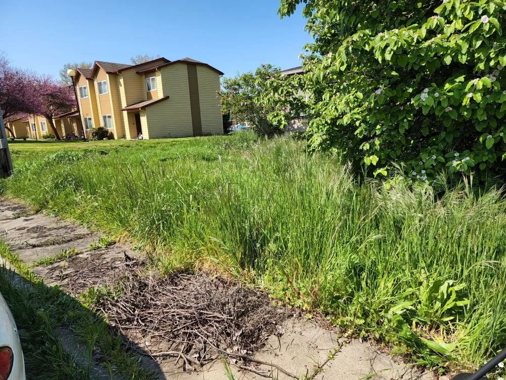 Reliable landscaping services in Myrtle Creek, OR by Over the Hedge Lawn Care