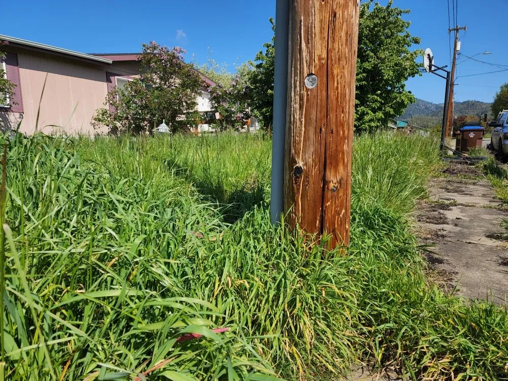 Custom lawn care service in Myrtle Creek, OR - Over the Hedge Lawn Care