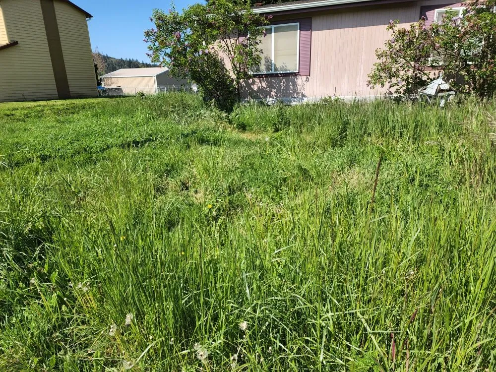 Professional residential landscaping for residential properties across Myrtle Creek, OR - Over the Hedge Lawn Care