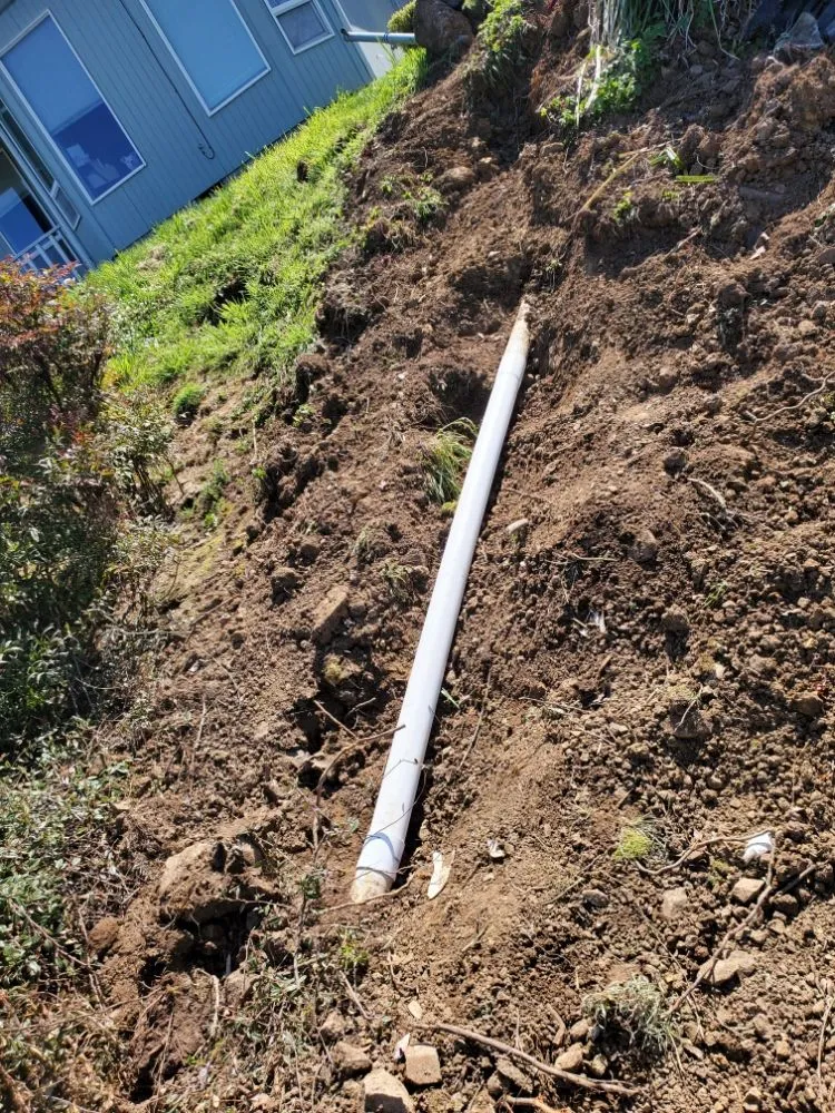 Trusted yard cleanup service in Myrtle Creek, OR - Over the Hedge Lawn Care