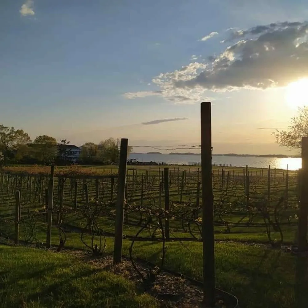 Professional landscaping services in Branford, CT - Over the Hedge Masonry & Landscaping