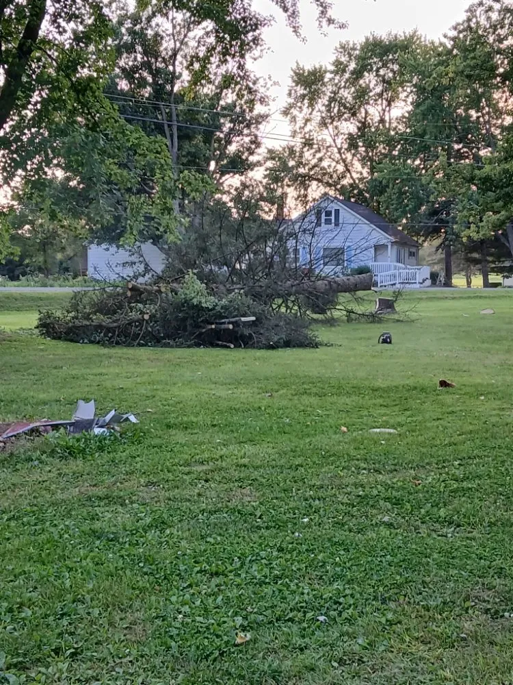 Reliable lawn care service in Grand Rapids, MI - Over  The Hedge Property Development Services