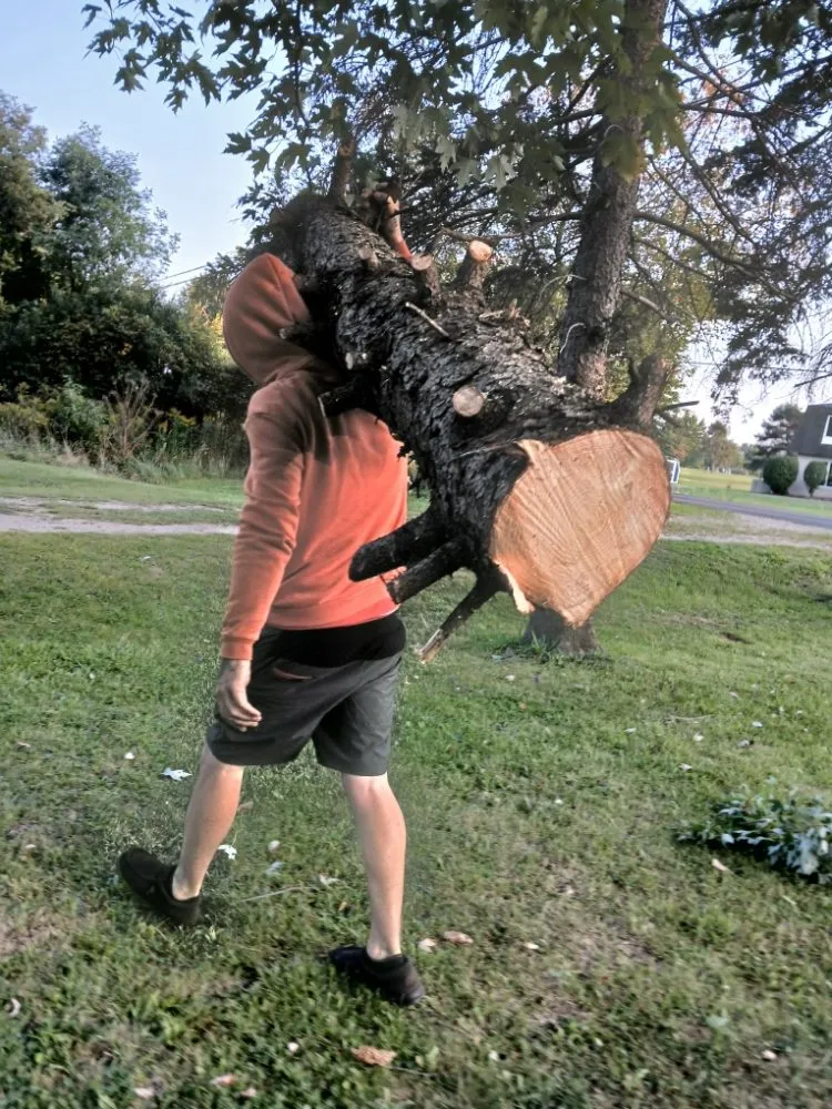 Trusted landscape installation near you in Grand Rapids, MI by Over  The Hedge Property Development Services