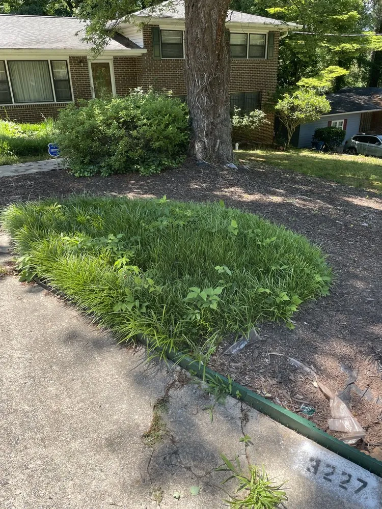 Top-rated landscaping services near you across Jonesboro, GA - Over the Hills Landscaping