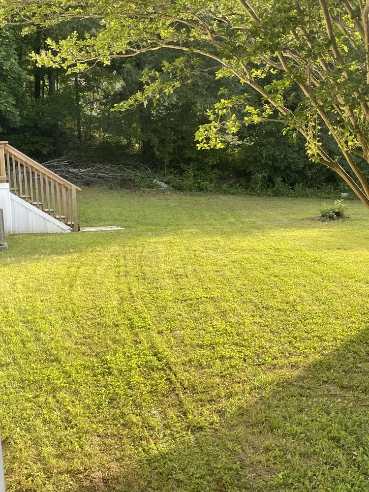 Reliable yard cleanup service for beautiful yards in Jonesboro, GA by Over the Hills Landscaping