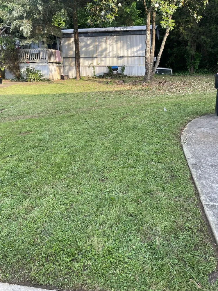 Custom lawn mowing service in Jonesboro, GA by Over the Hills Landscaping