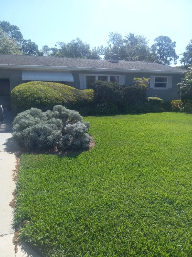Reliable yard maintenance experts serving Port Orange, FL - Over The Moon Lawncare