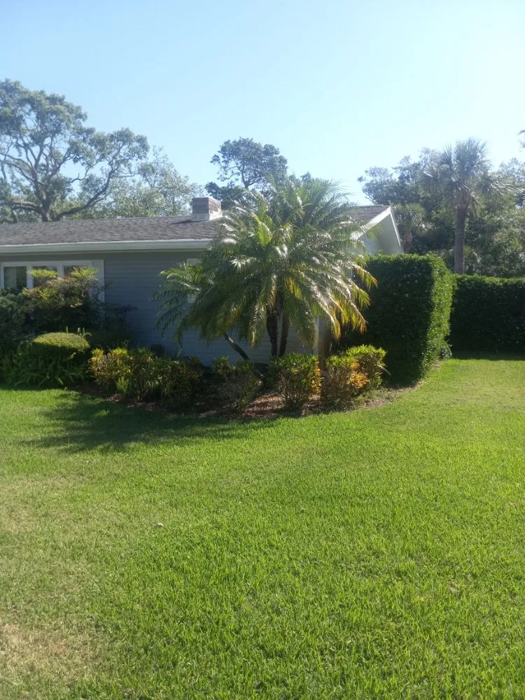 Top-rated lawn care service for beautiful yards across Port Orange, FL - Over The Moon Lawncare