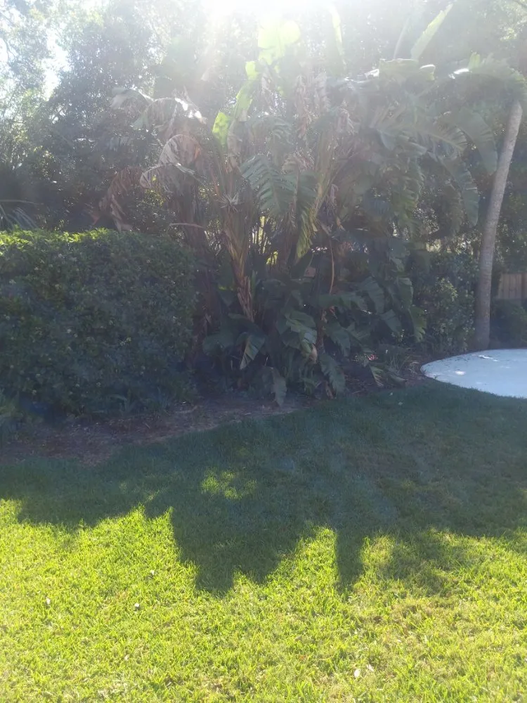 Top-rated landscape installation experts serving Port Orange, FL - Over The Moon Lawncare