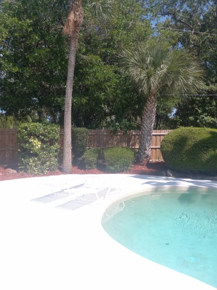 Trusted lawn mowing service experts serving Port Orange, FL - Over The Moon Lawncare