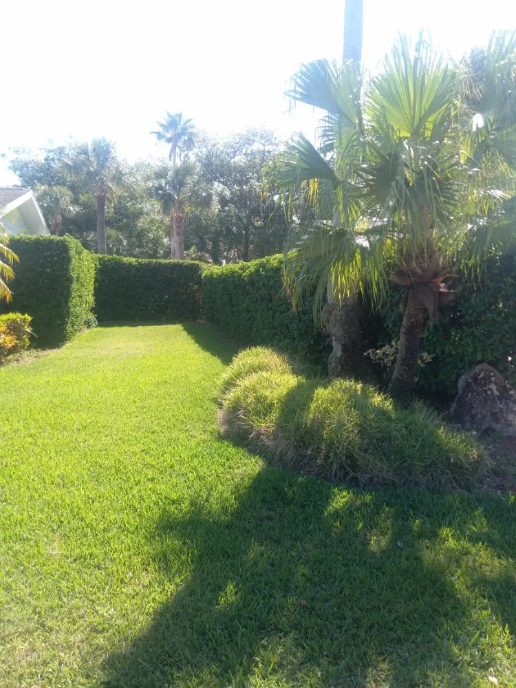 Trusted yard cleanup service in Port Orange, FL by Over The Moon Lawncare