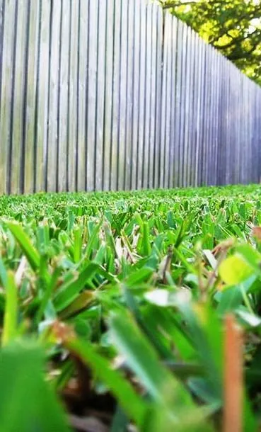 Top-rated yard cleanup service in Garner, NC - Over The Top Lawn Care