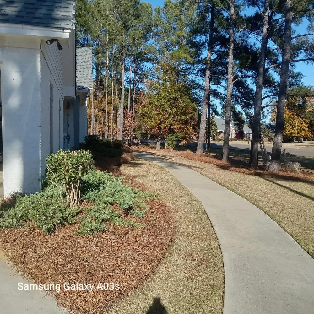 Professional garden landscaping for year-round maintenance across Madison, MS - Over The Top Lawn Care