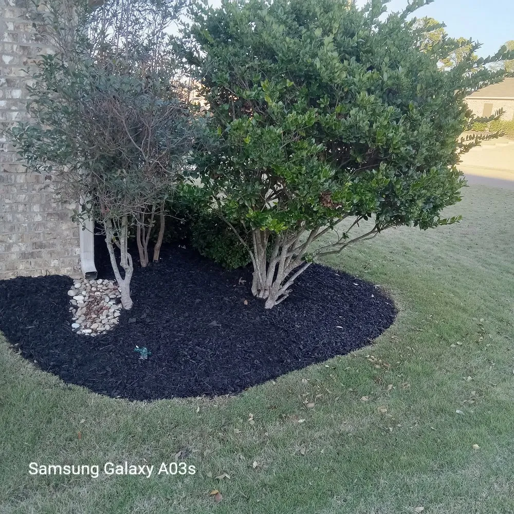 Trusted yard cleanup service experts serving Madison, MS - Over The Top Lawn Care