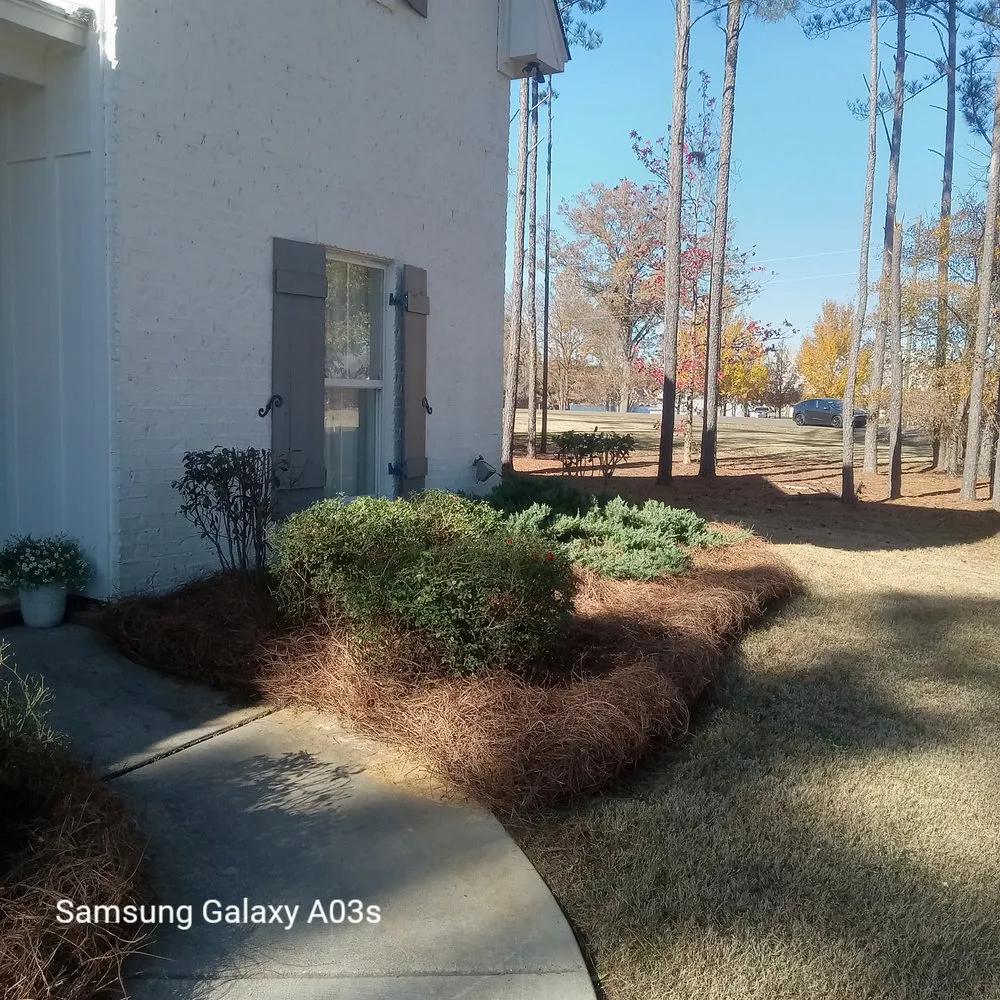 Expert outdoor landscaping in Madison, MS by Over The Top Lawn Care