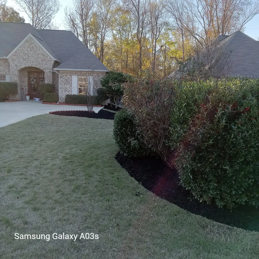 Reliable yard cleanup service for outdoor upgrades in Madison, MS by Over The Top Lawn Care