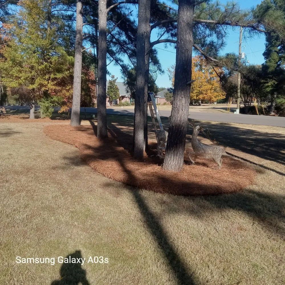 Custom lawn care service for beautiful yards in Madison, MS by Over The Top Lawn Care